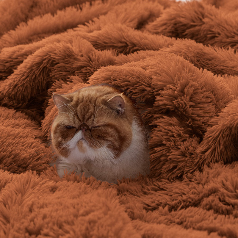 Faux Fur Sherpa Blanket - Plush Shaggy Reversible Bed & Couch Throw